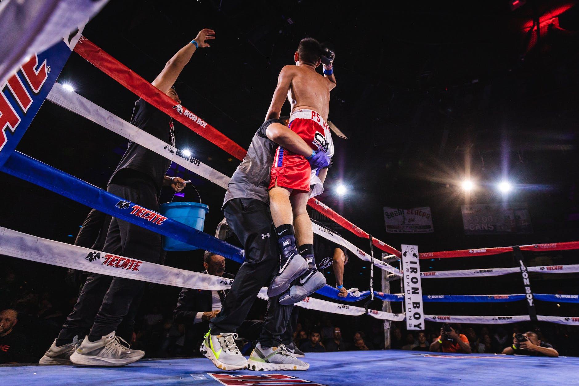 professional boxing, boxing win